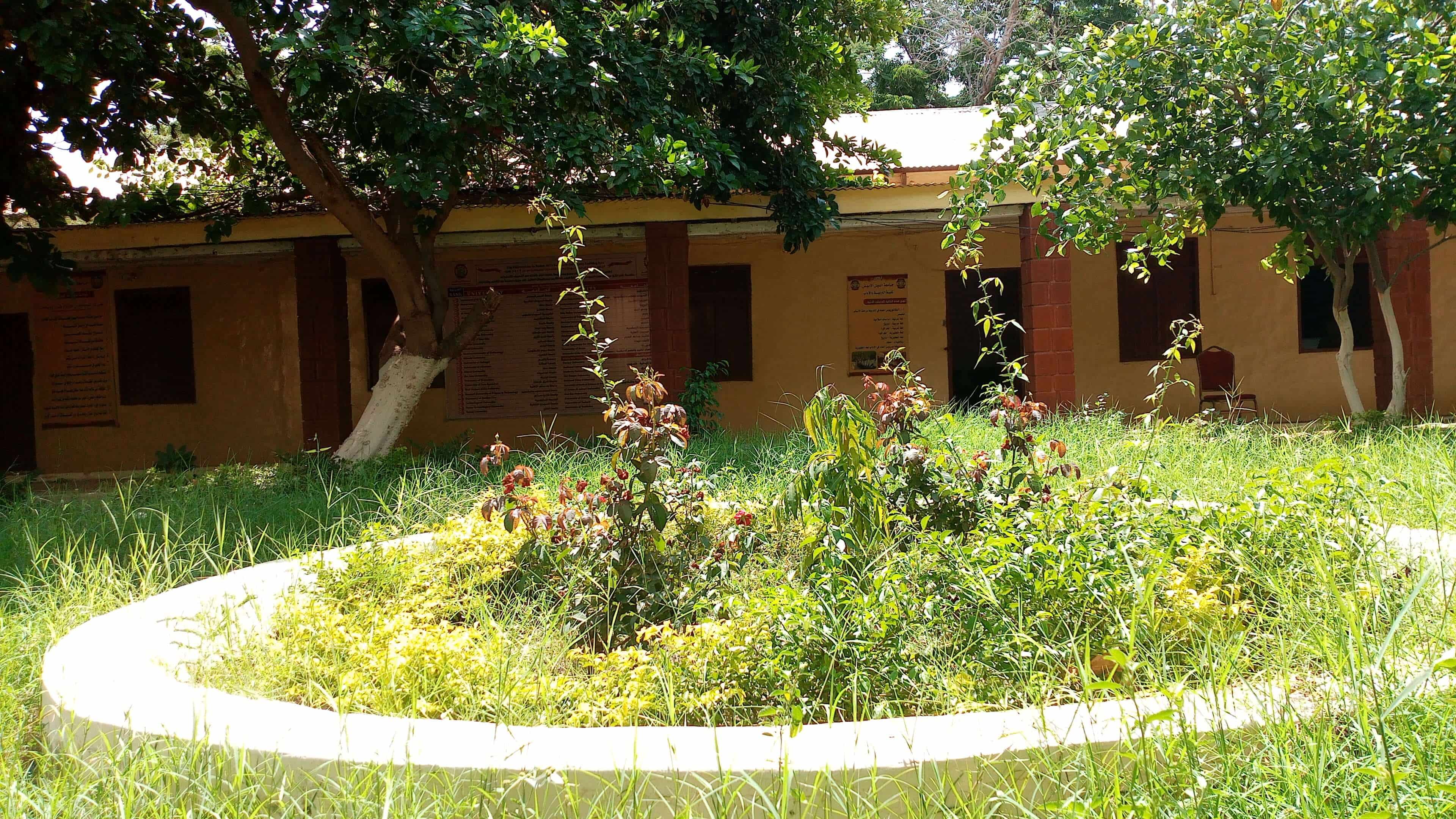 مجمع البروفسير/عبد الباقي عبد الغني